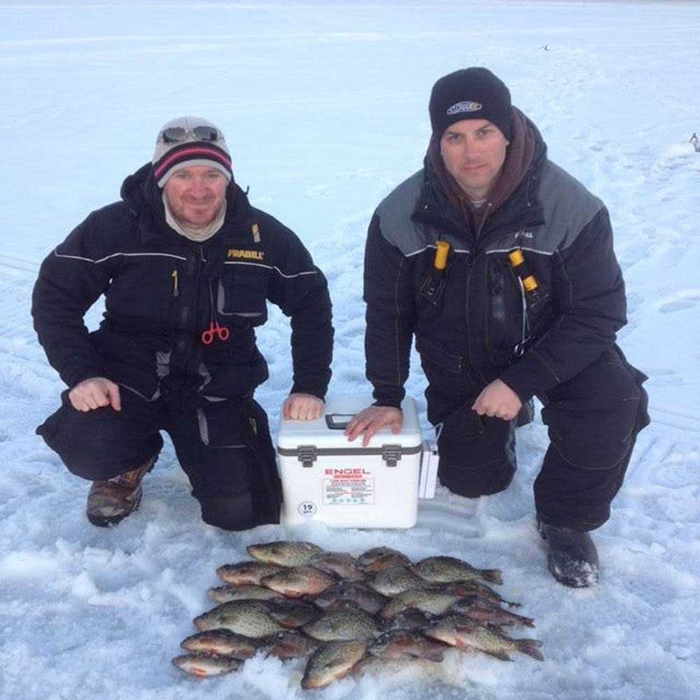Engel Live Bait Cooler - Image 3