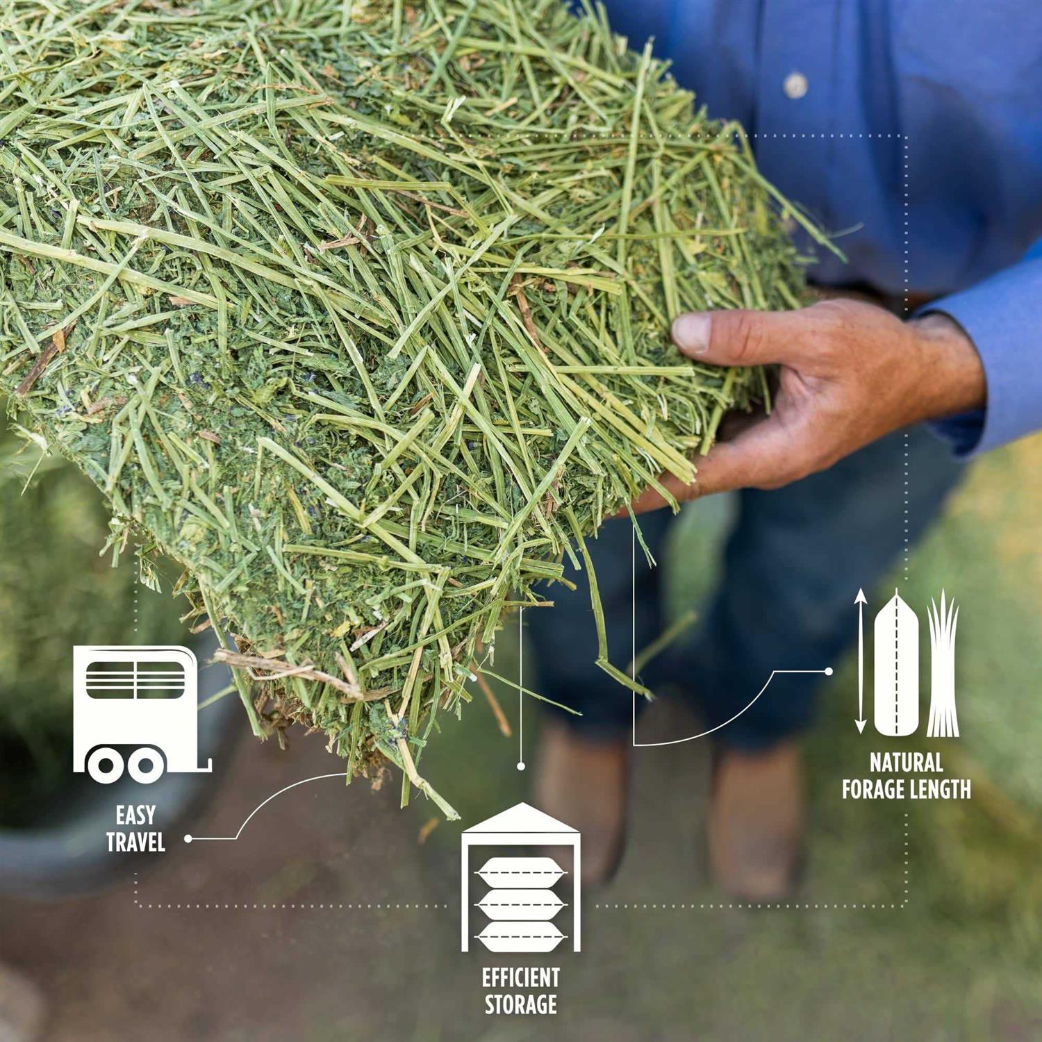 Standlee Premium Timothy Grab & Go Compressed Bale - Image 2
