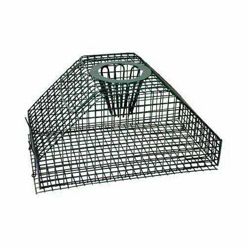 Advantek Catch Release Animal Trap - Image 3