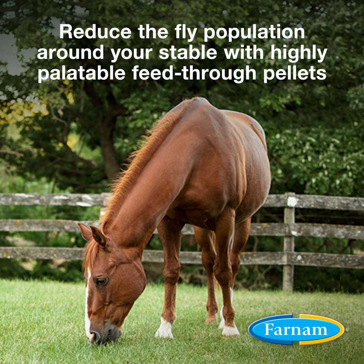 Farnam SimpliFly Feed Thru Fly Control - Image 5