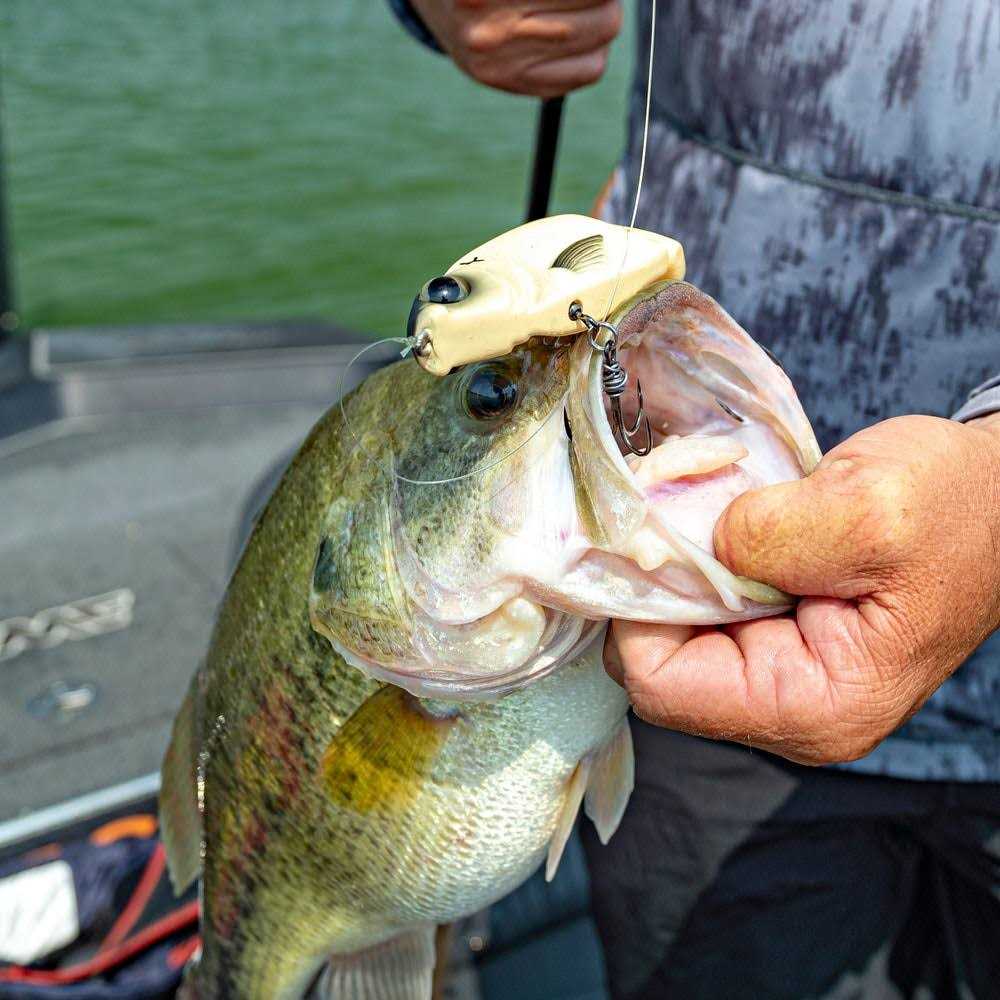 Spro KGB Chad Shad 180 - Image 4