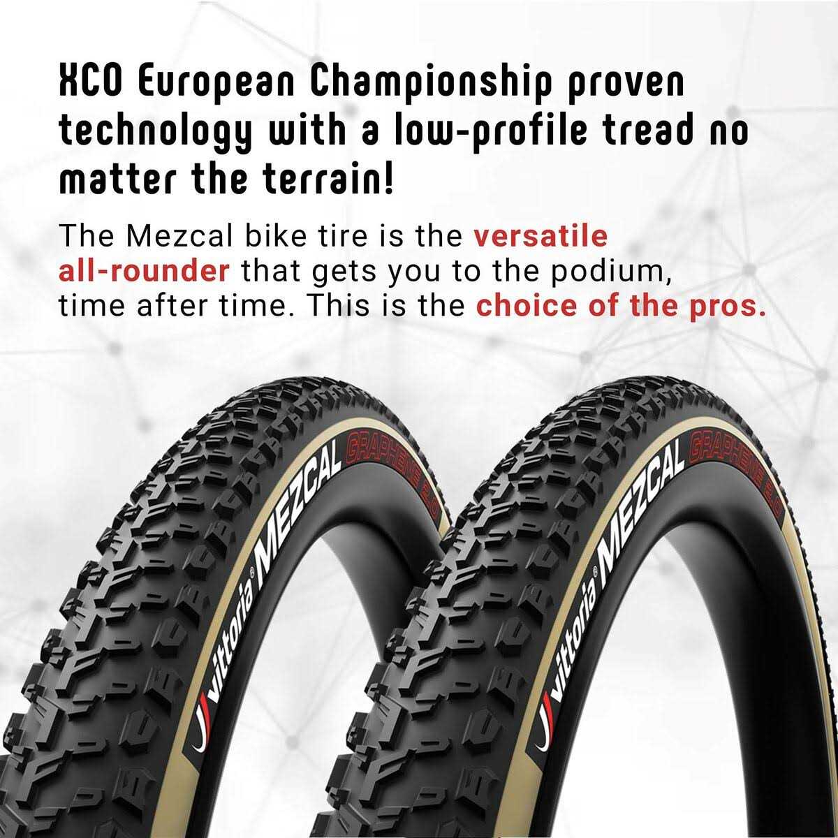 Vittoria Saguaro - Image 4