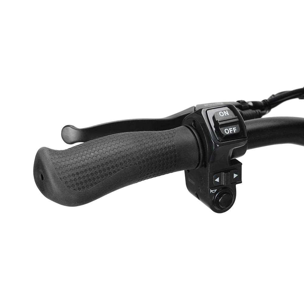 Ausom Leopard Off-Road Electric Scooter - Image 5