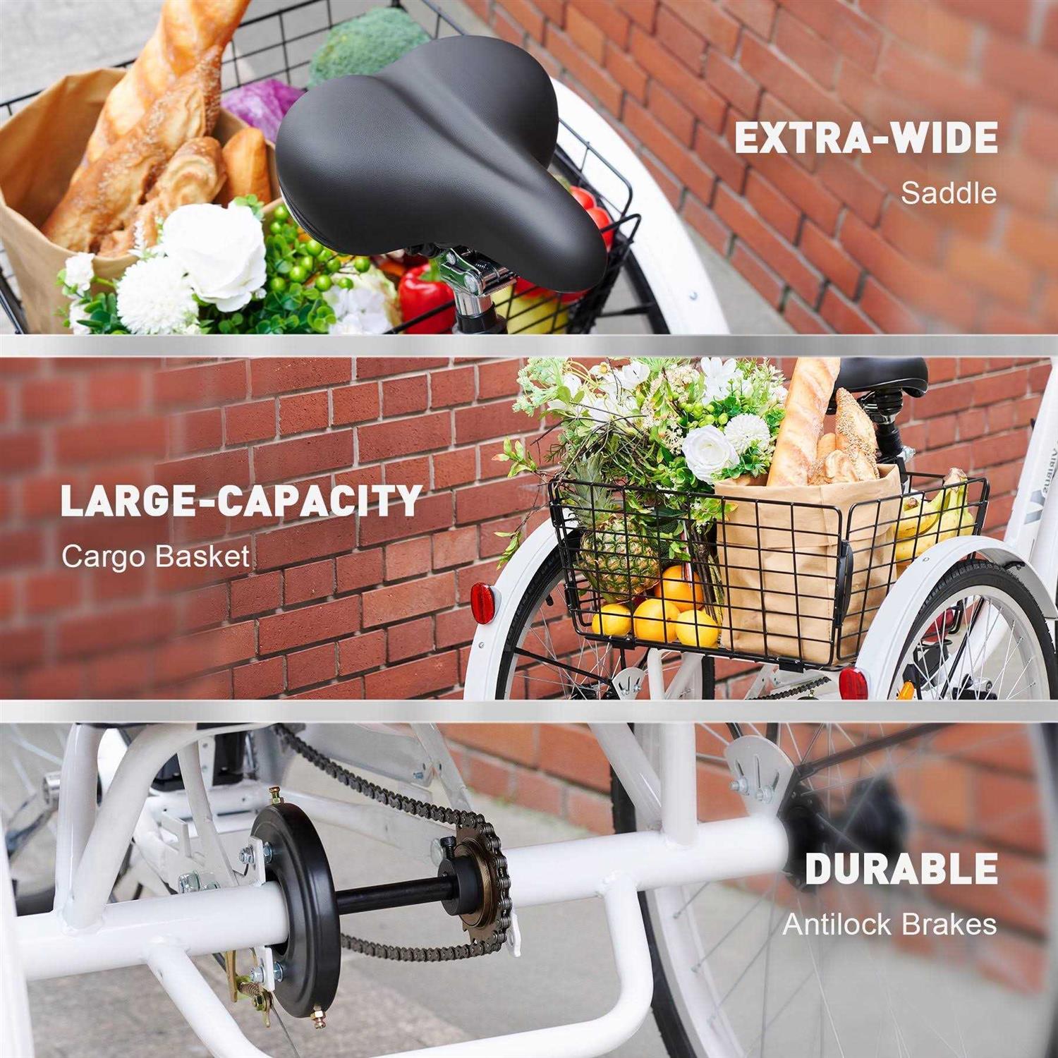 Viribus 24 inch Electric Tricycle for Adults with 250w Motor 36V 10Ah - Image 3