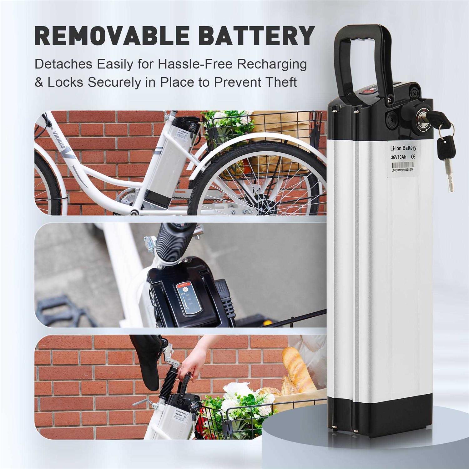 Viribus 24 inch Electric Tricycle for Adults with 250w Motor 36V 10Ah - Image 4