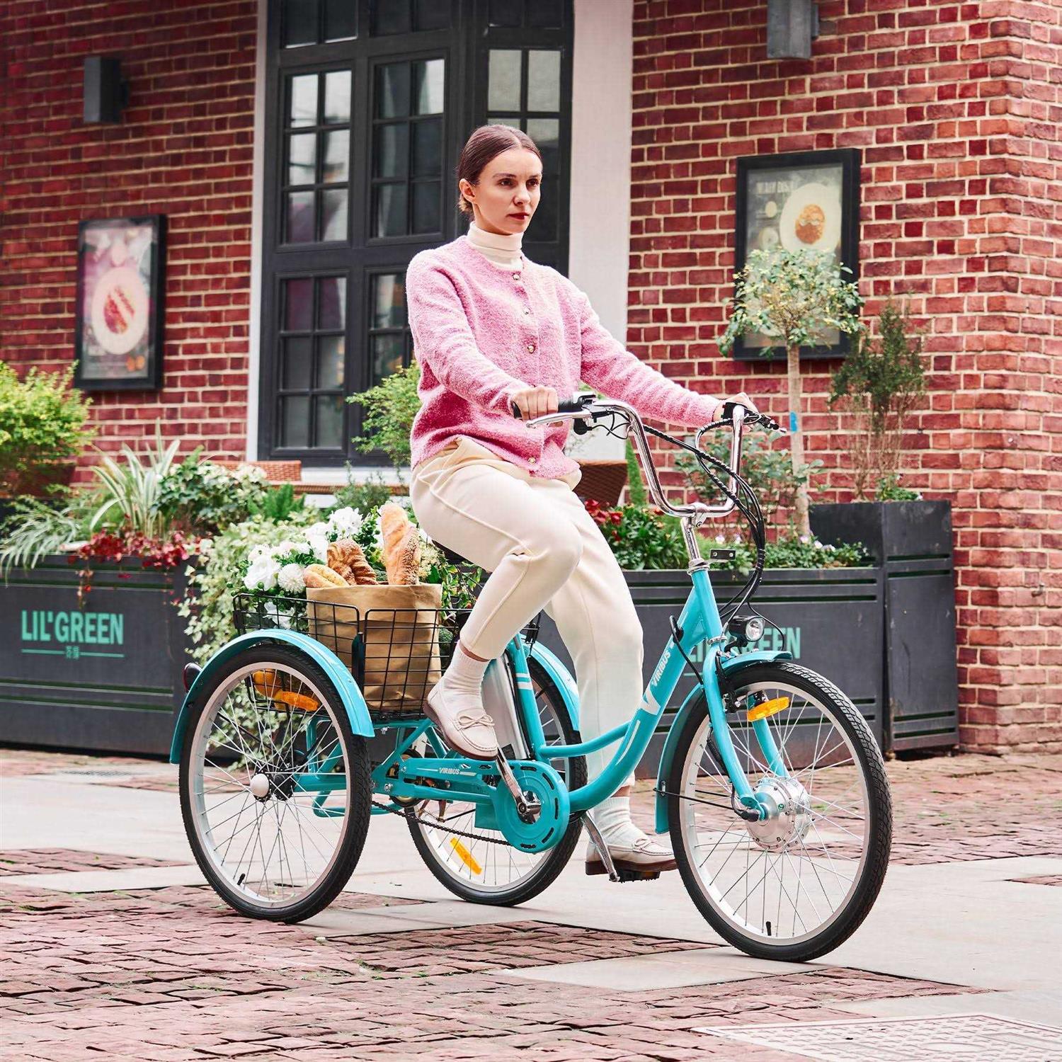 Viribus 24 inch Electric Tricycle for Adults with 250w Motor 36V 10Ah - Image 3