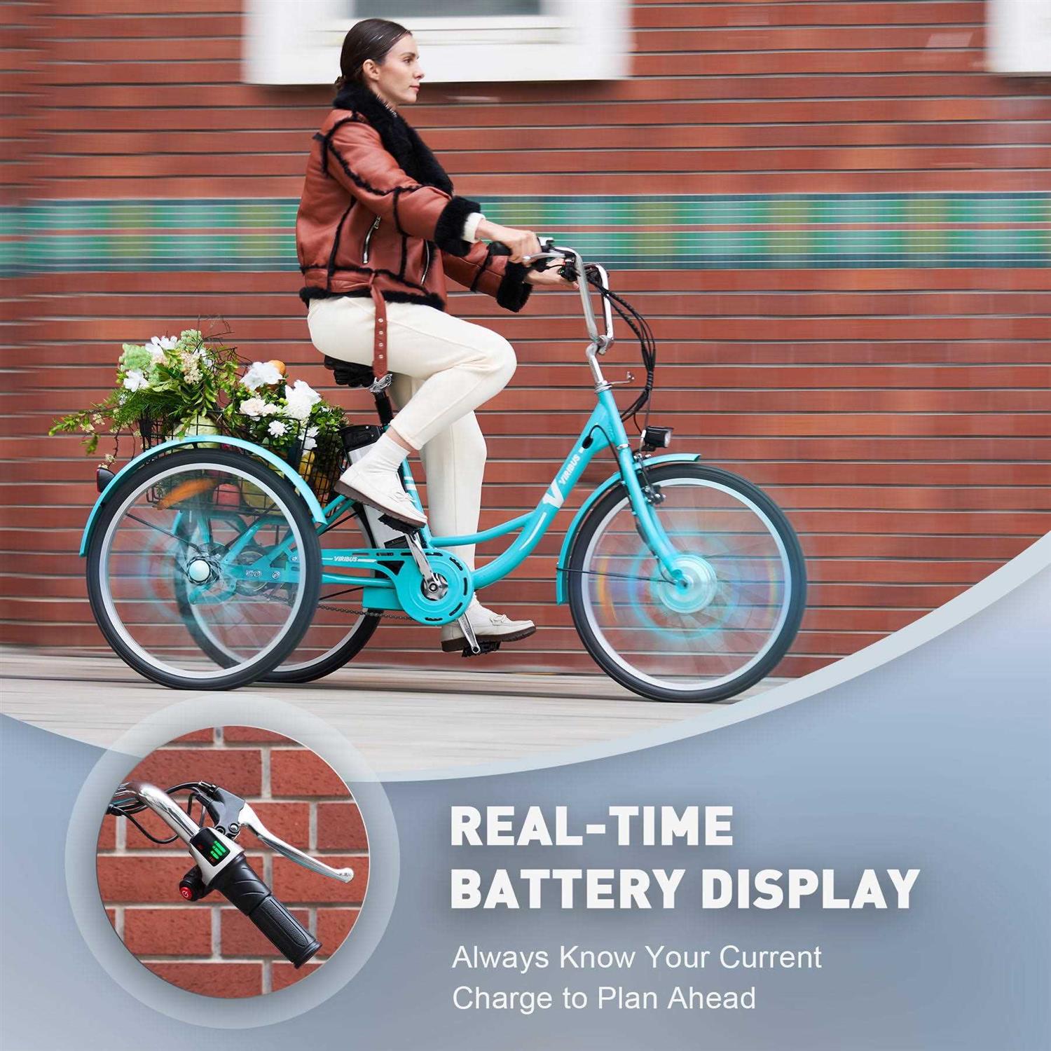 Viribus 24 inch Electric Tricycle for Adults with 250w Motor 36V 10Ah - Image 5