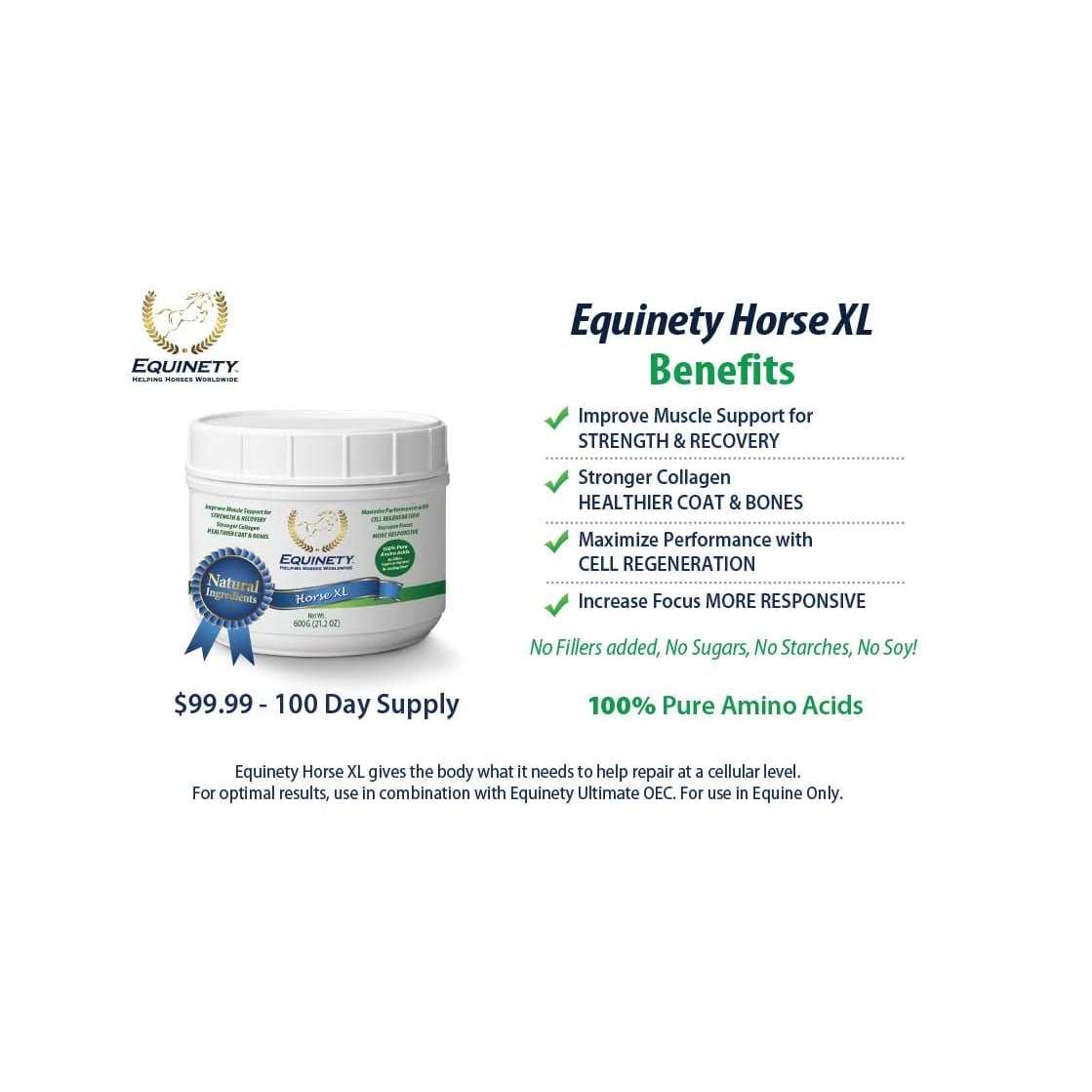 Equinety Horse XL - Image 2