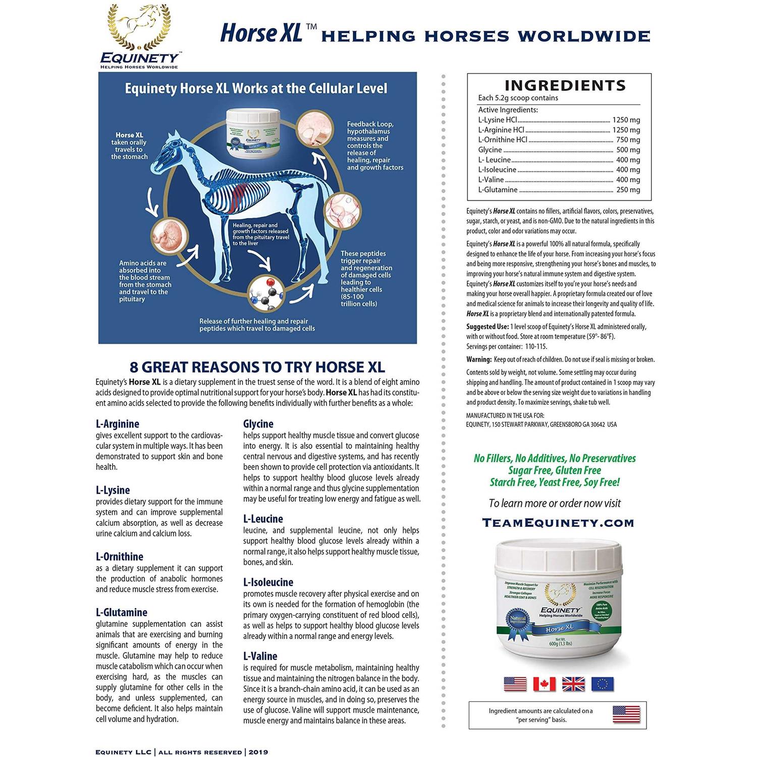 Equinety Horse XL - Image 5