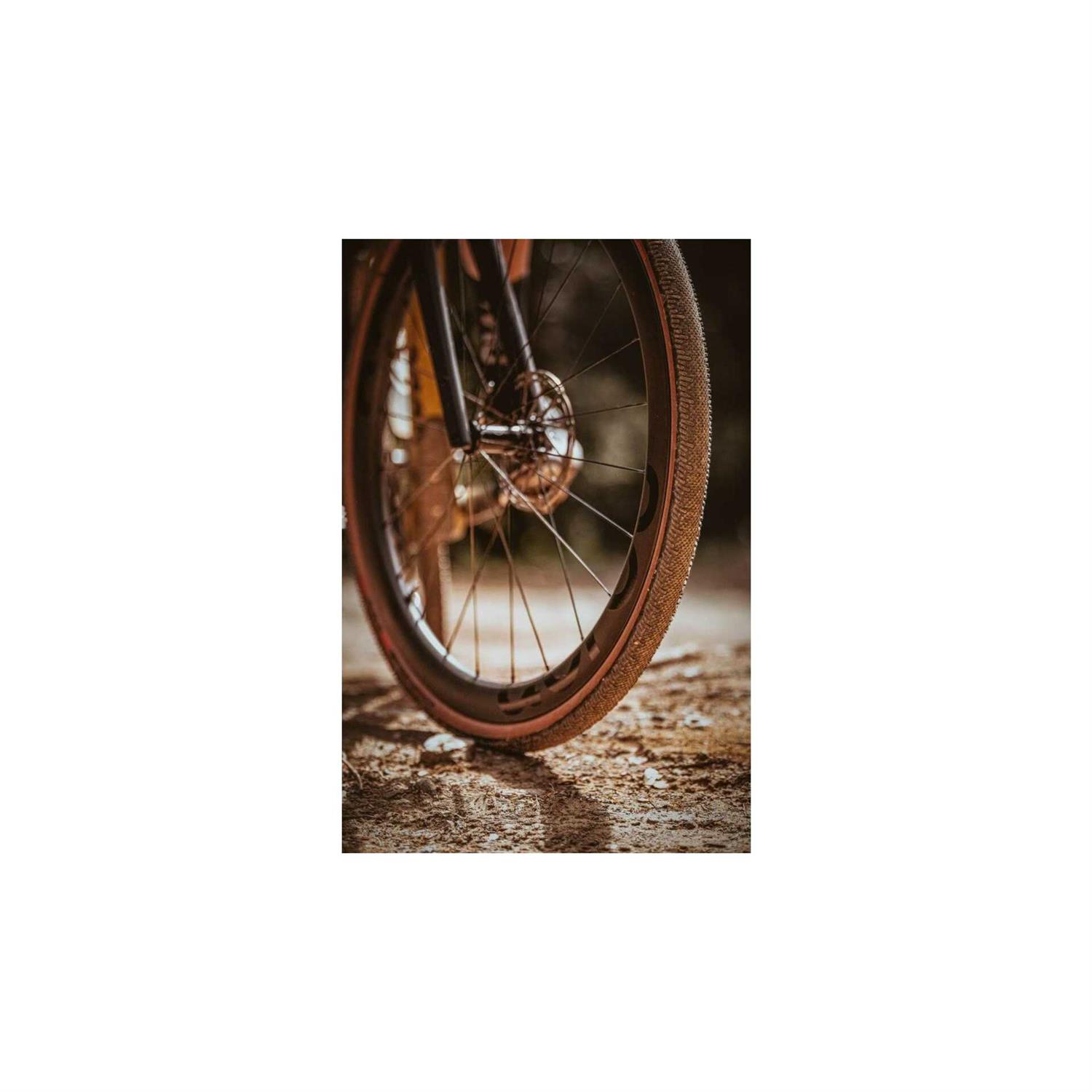 Schwalbe G-One RS Tire - Image 4