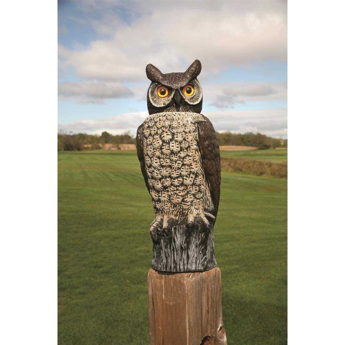 Dalen Natural Enemy Rotating-Head Owl Scarecrow - Image 5