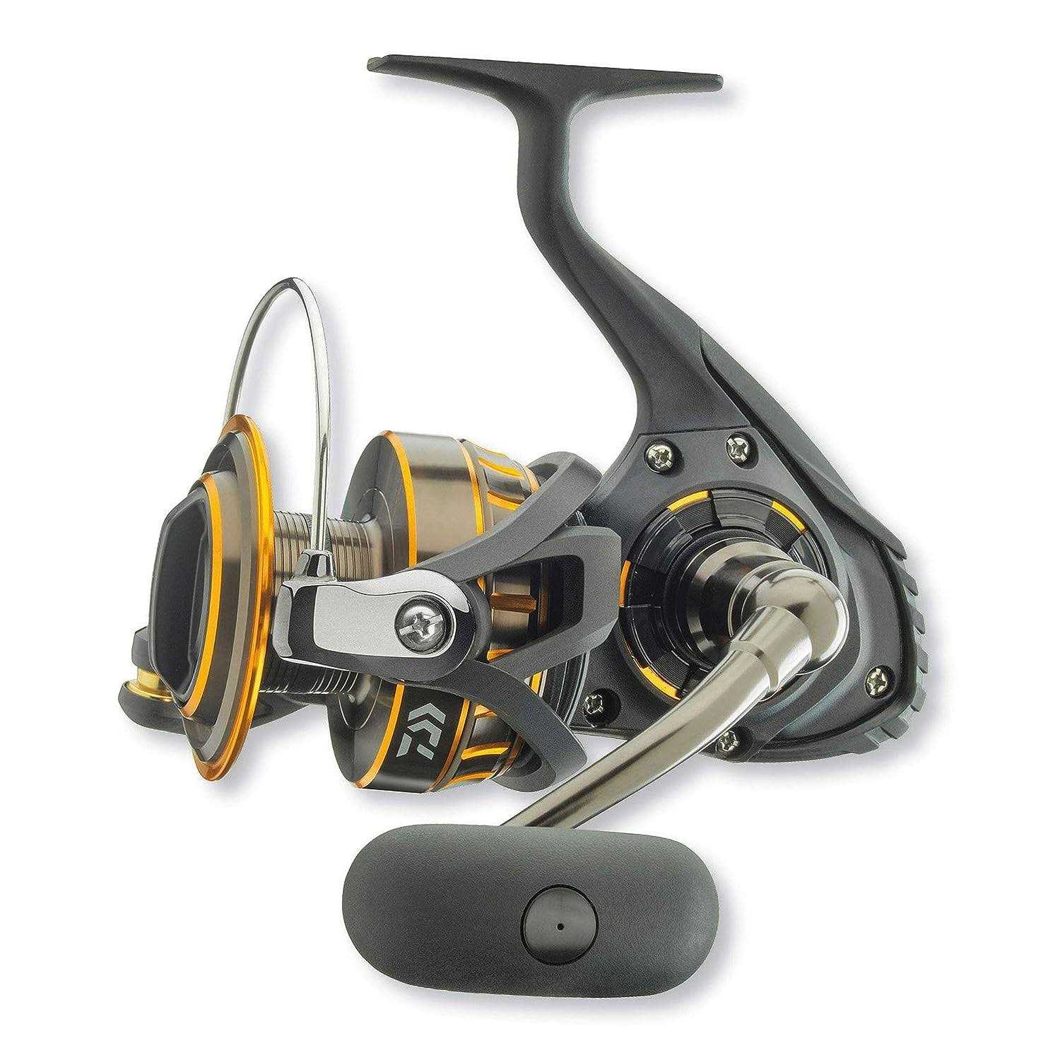 Daiwa BG Spinning - Image 4