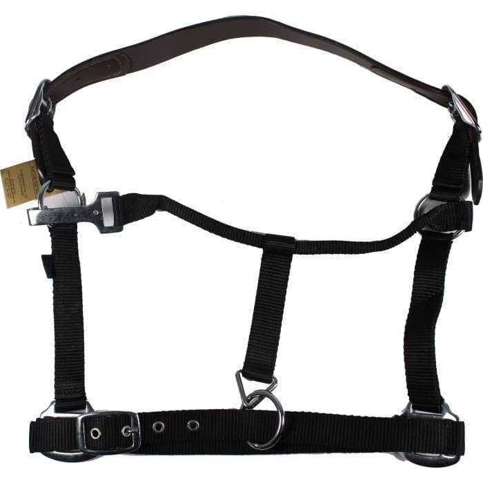 Gatsby Nylon Breakaway Halter - Image 5