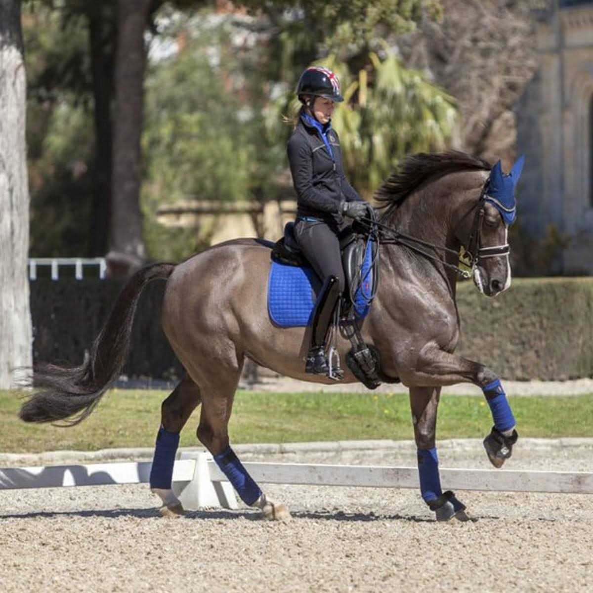 LeMieux Dressage Square Suede Pad - Image 4