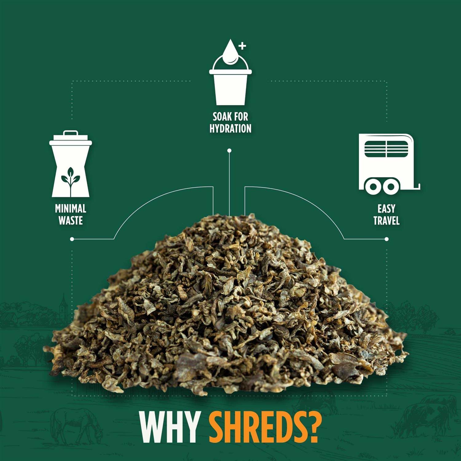 Standlee Premium Beet Pulp Shreds - Image 5