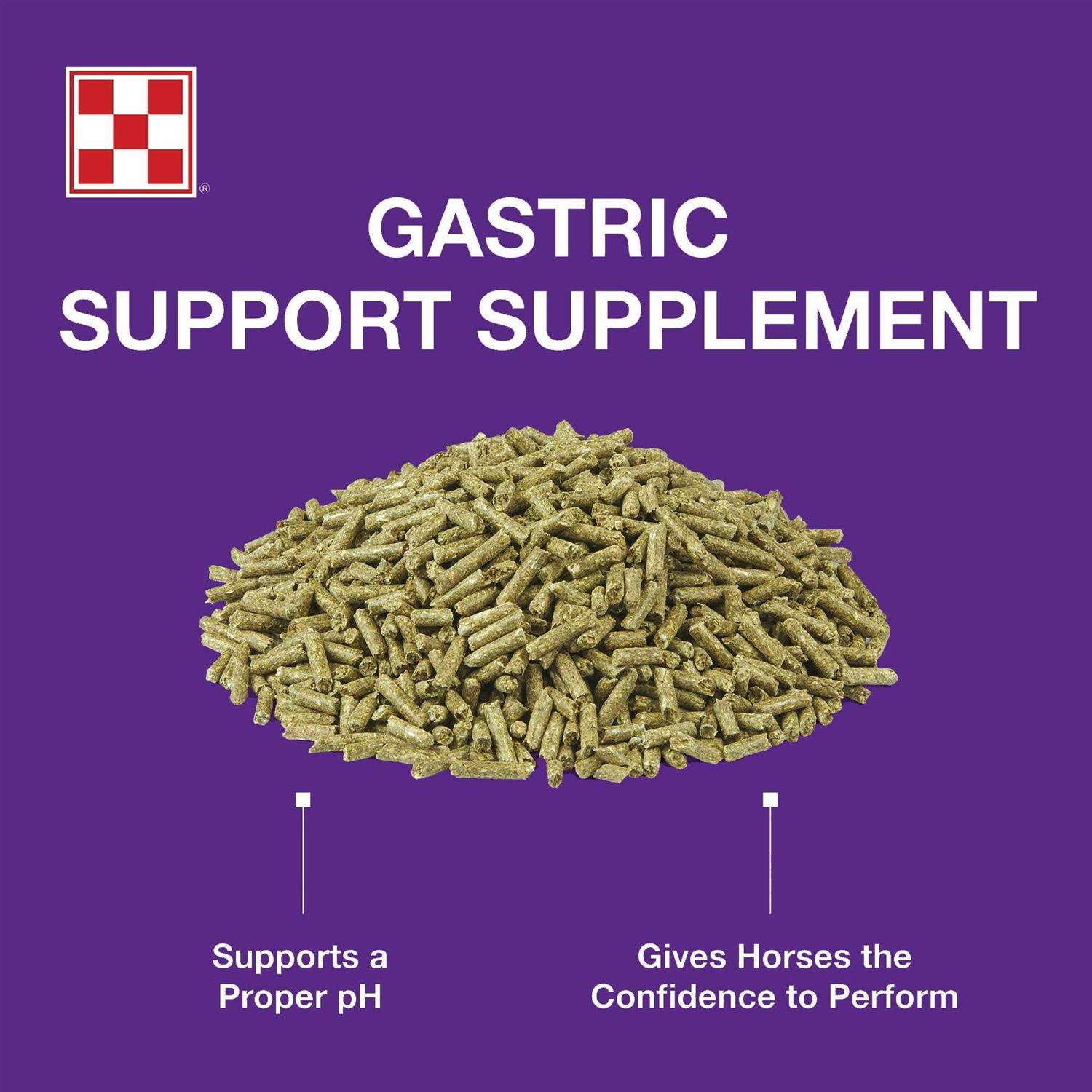 Purina Outlast Gastric Support Supplement - Image 3