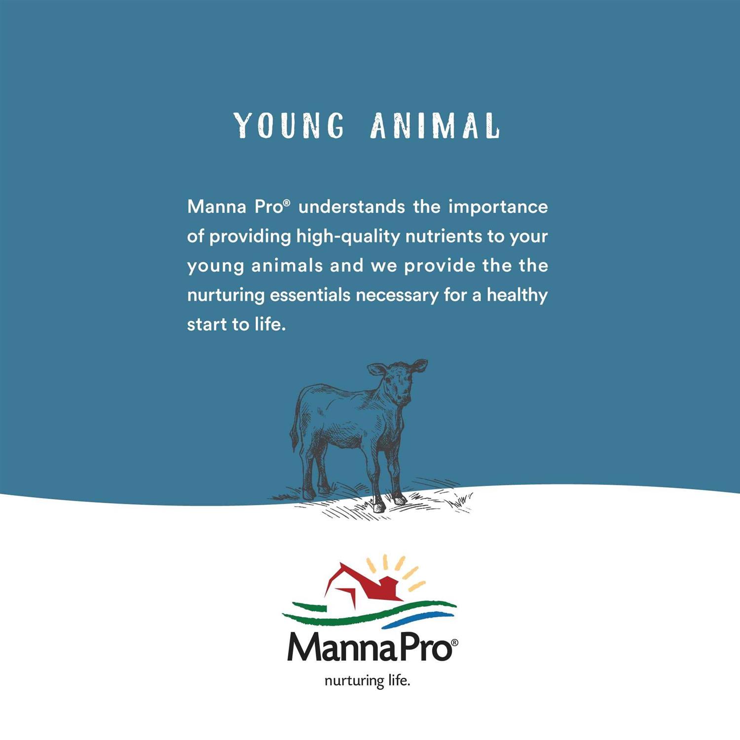 Manna Pro Renew Gold - Image 2