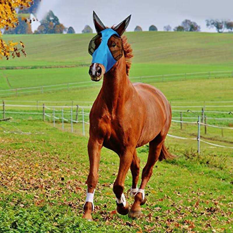 Durvet Duramask Fly Mask - Image 3