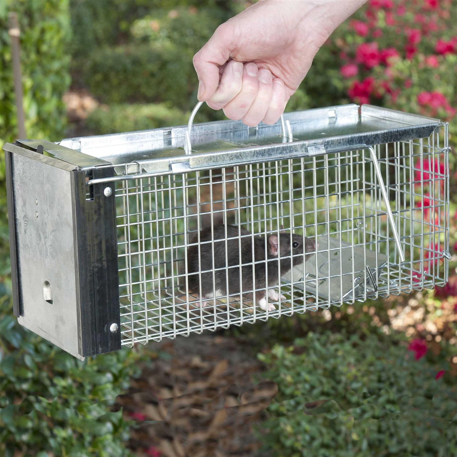 Havahart Live Animal Cage Trap - Image 5
