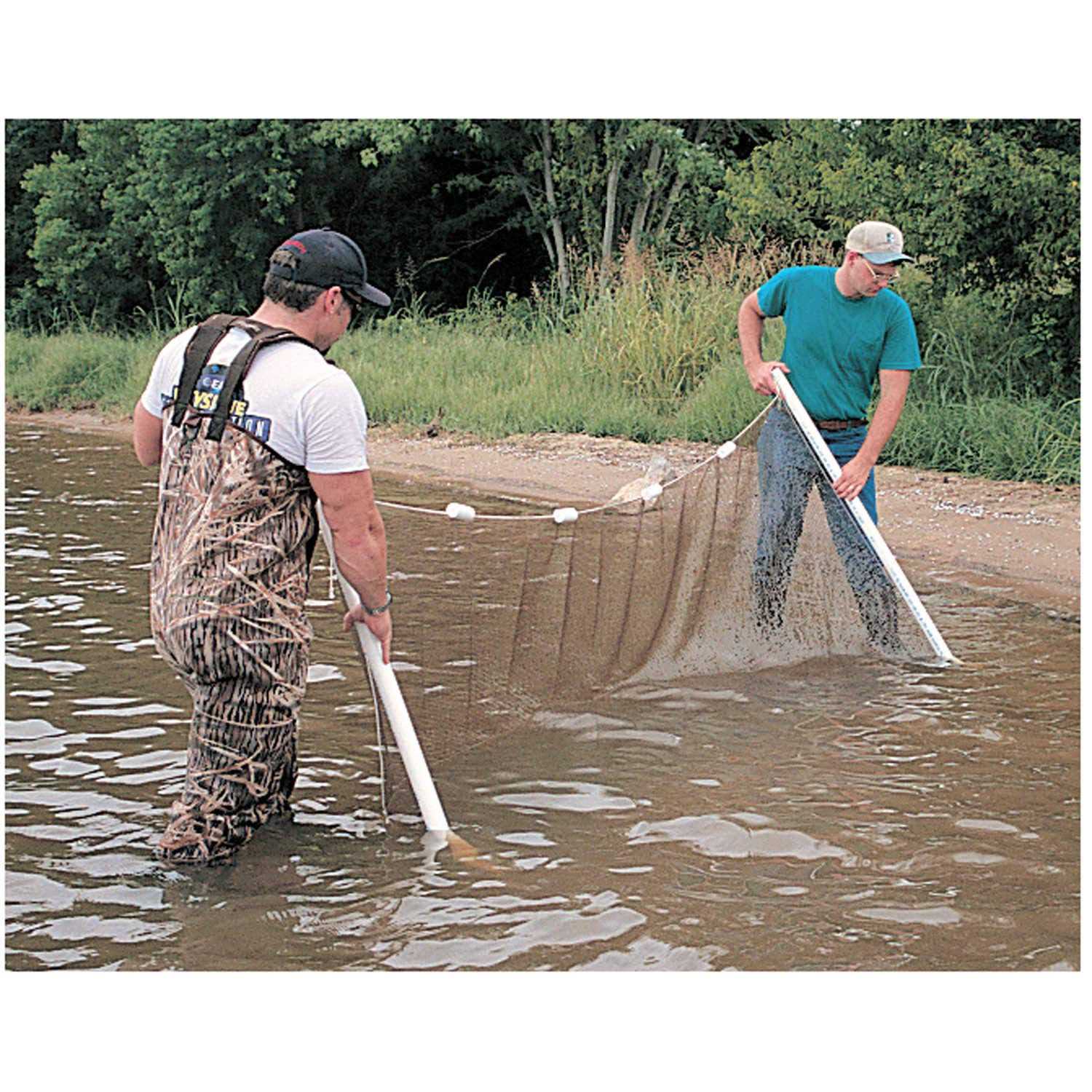 Douglas Net Polyester Seine - Image 3