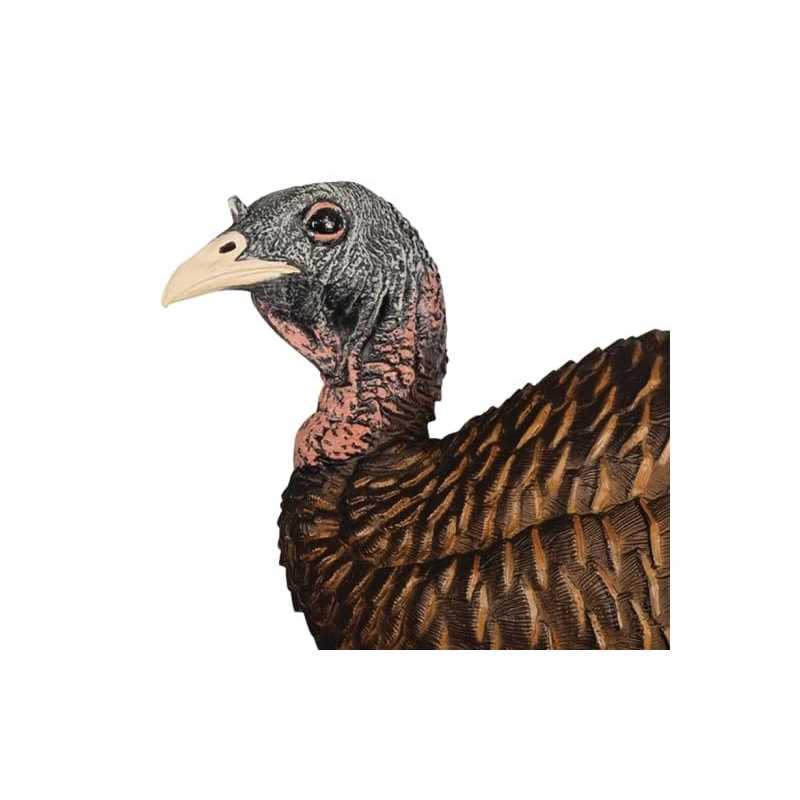 Flextone Thunder Chick Breeder/Feeder Hen Turkey - Image 4