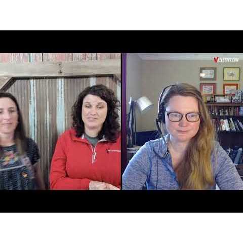 Kool Coat Airstream With Hidden Surcingle III Detach A Neck - Image 4