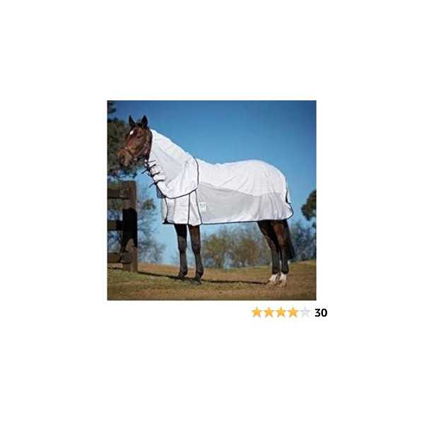 Kool Coat Airstream With Hidden Surcingle III Detach A Neck - Image 5