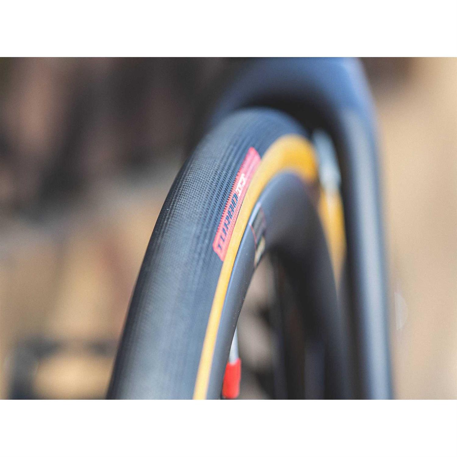 Specialized Turbo Cotton - Image 4