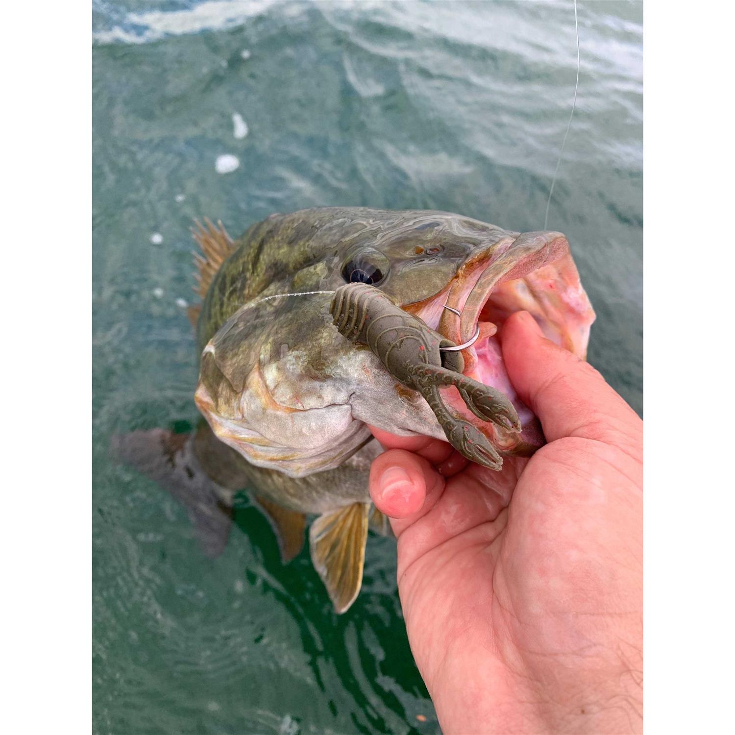 Great Lakes Finesse Juvy Craw - Image 5