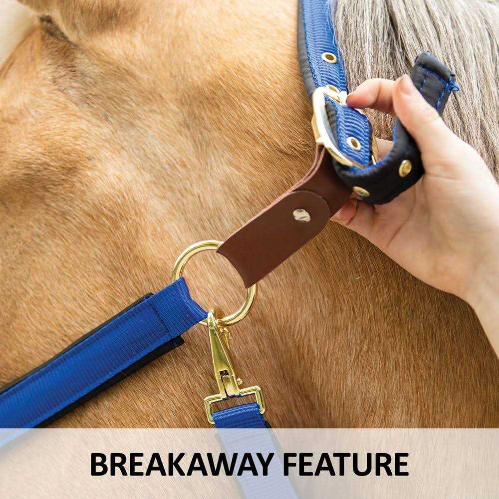 Dura-Tech Deluxe Fully Padded Nylon Breakaway Halter - Image 2