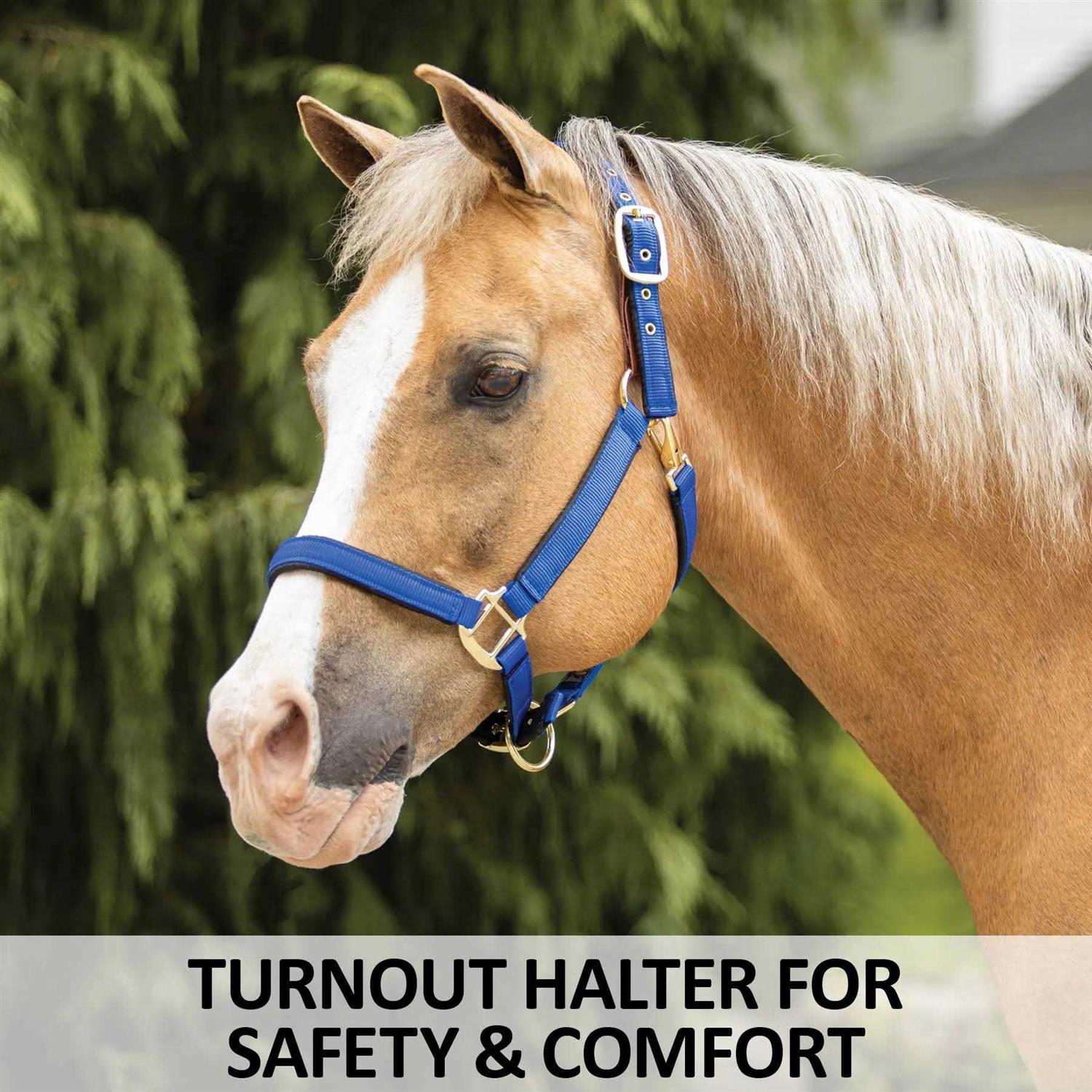 Dura-Tech Deluxe Fully Padded Nylon Breakaway Halter - Image 3
