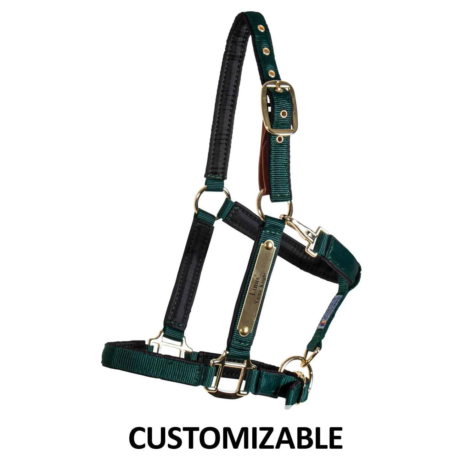 Dura-Tech Deluxe Fully Padded Nylon Breakaway Halter - Image 4