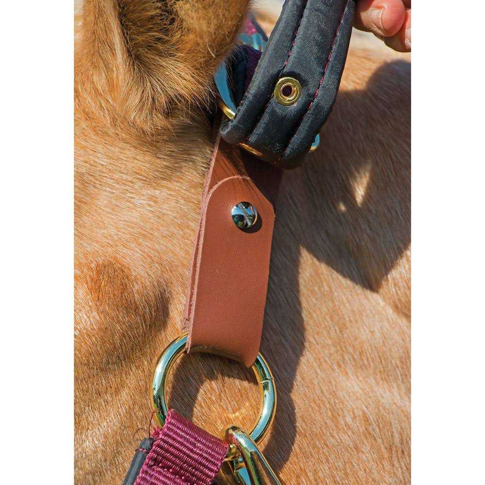Dura-Tech Deluxe Fully Padded Nylon Breakaway Halter - Image 2