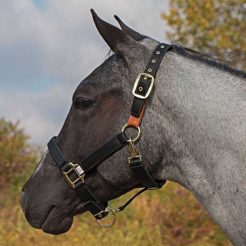 Dura-Tech Deluxe Fully Padded Nylon Breakaway Halter - Image 3
