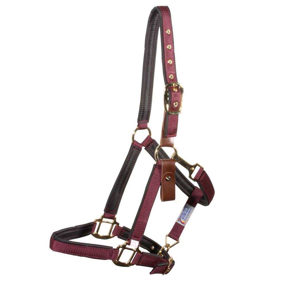 Dura-Tech Deluxe Fully Padded Nylon Breakaway Halter - Image 5