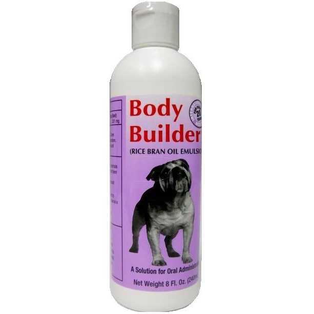 Equiade Body Builder - Image 5