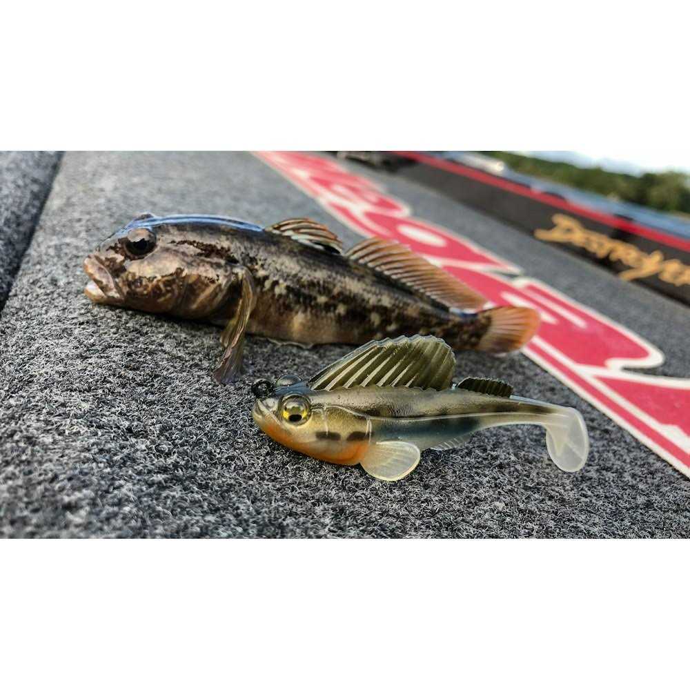 Megabass Dark Sleeper - Image 2