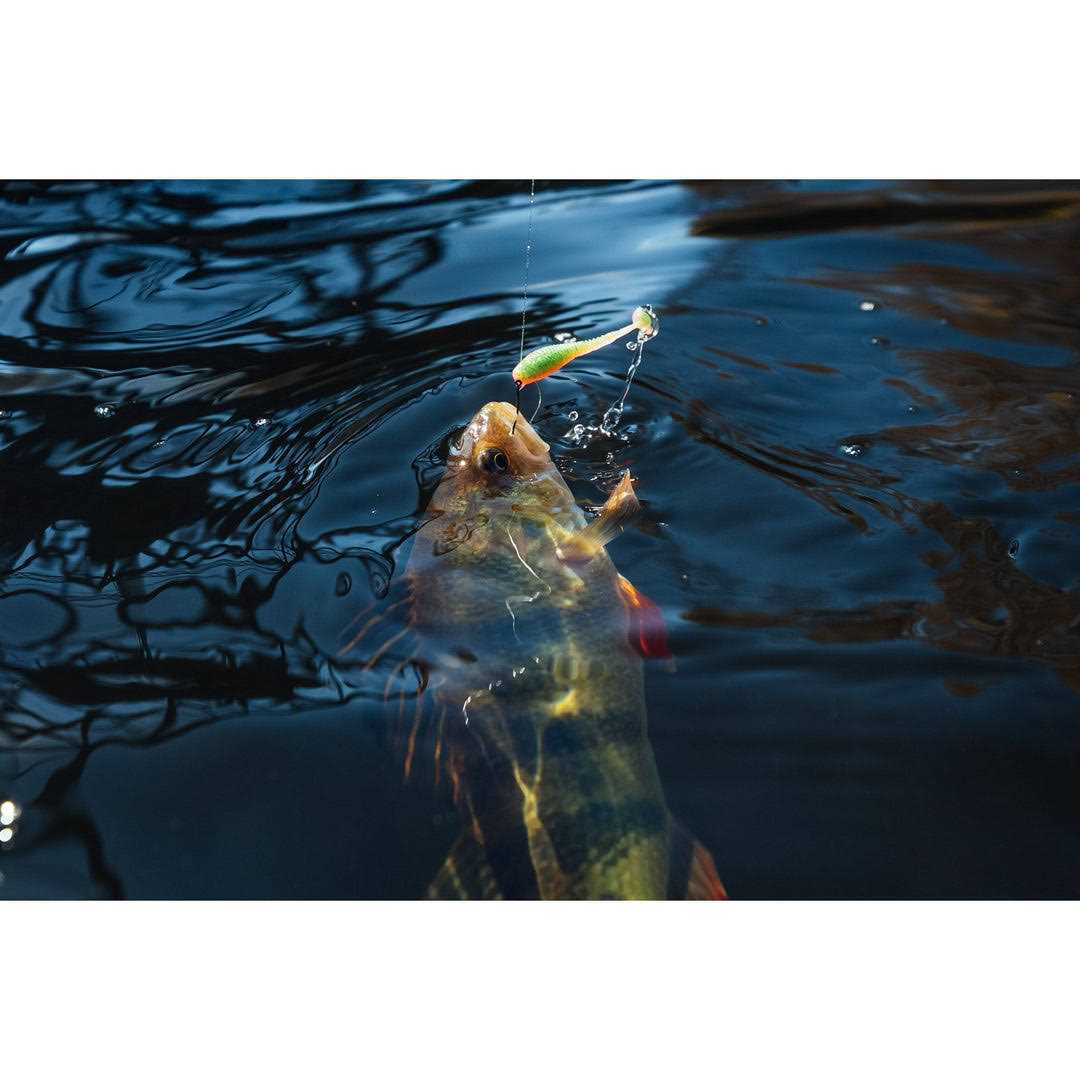 Googan Baits Snacky Swimmer - Image 5