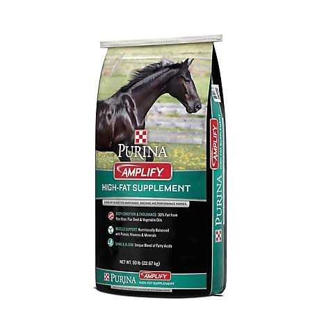 Purina Amplify High-Fat Horse Supplement - Image 2