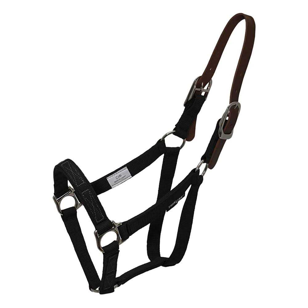 Thinline Flexible Filly Turnout Halter