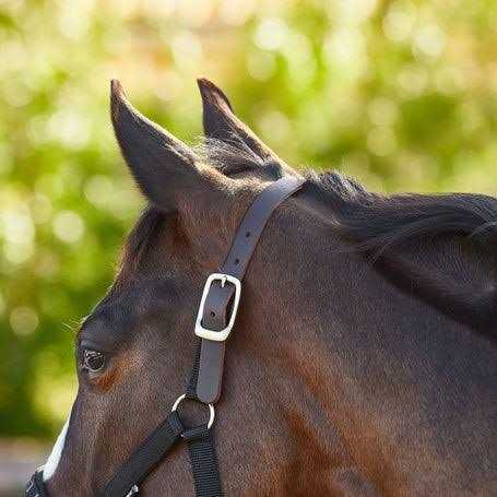 Thinline Flexible Filly Turnout Halter - Image 5
