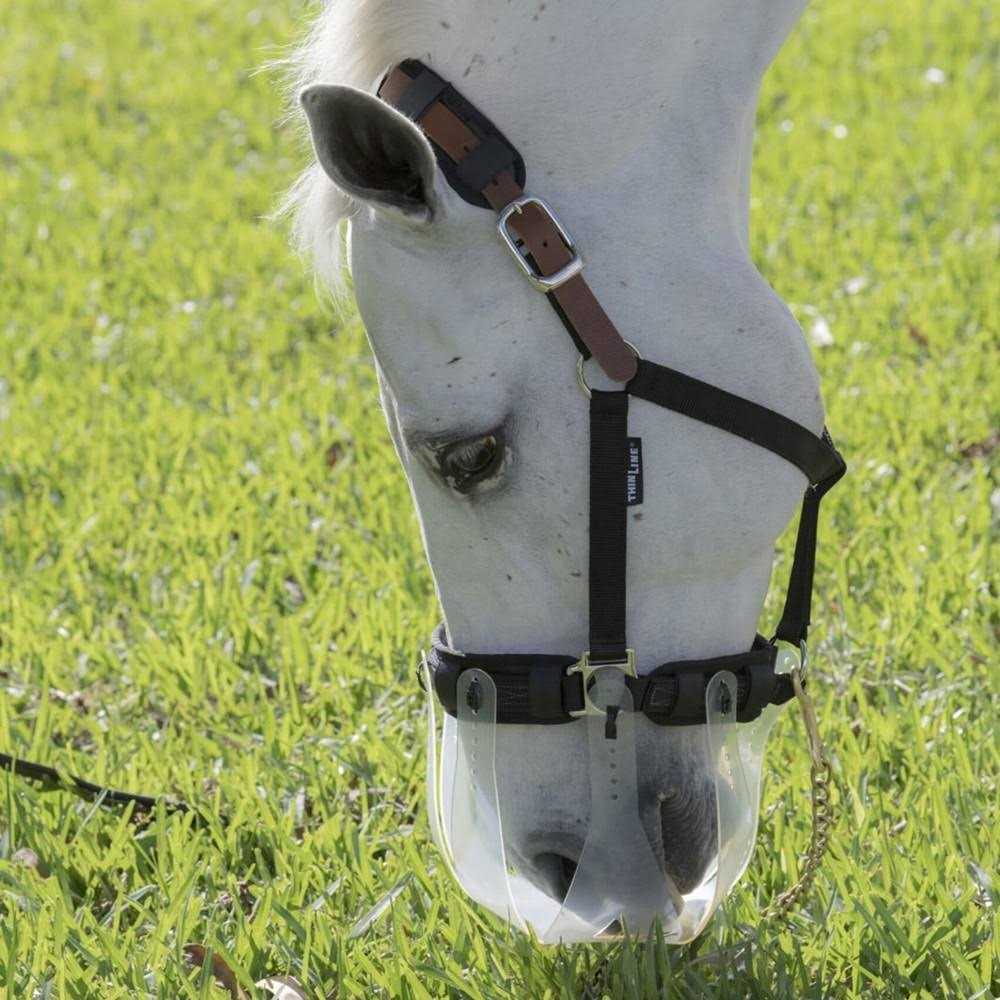 Thinline Flexible Filly Turnout Halter - Image 5