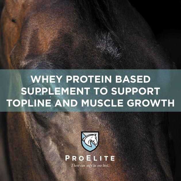 ProElite Top Line Xtreme 15 lb - Image 2