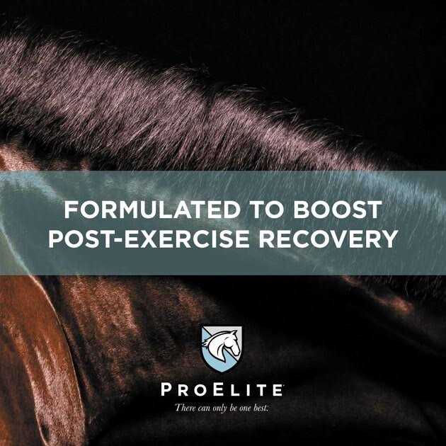 ProElite Top Line Xtreme 15 lb - Image 3