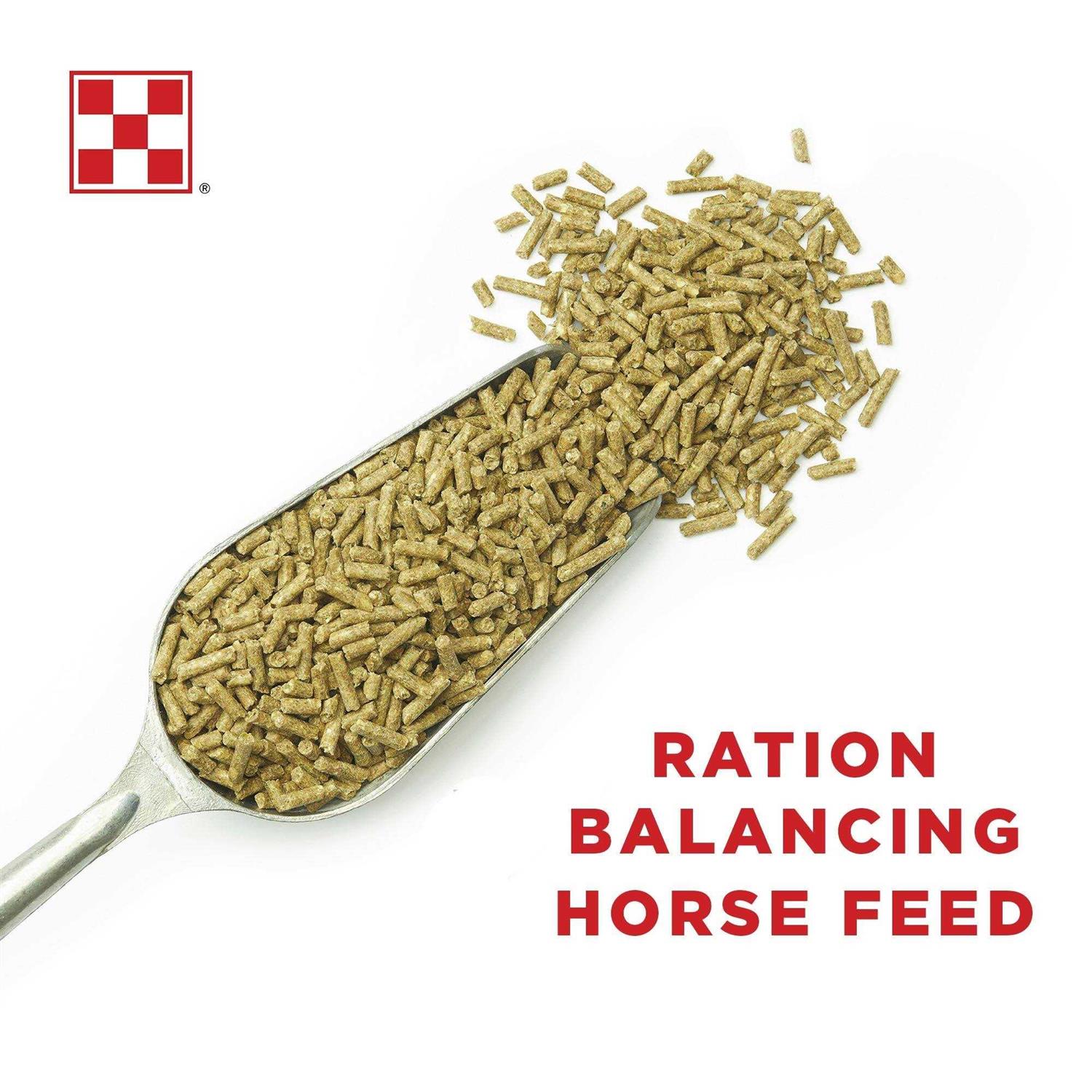 Purina Enrich Plus Ration Balancing Horse Feed - Image 2