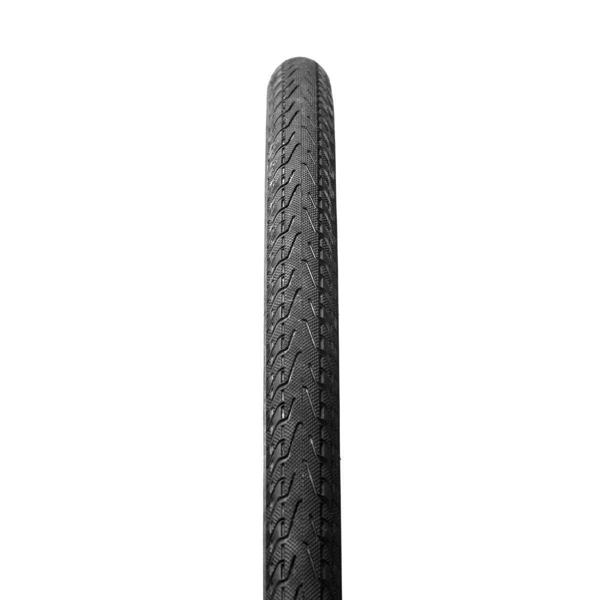 Panaracer Pasela - Image 2