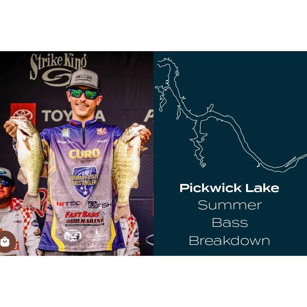 Queen Tackle Live Sonar Tungsten Jig Heads 3/0 - Image 2