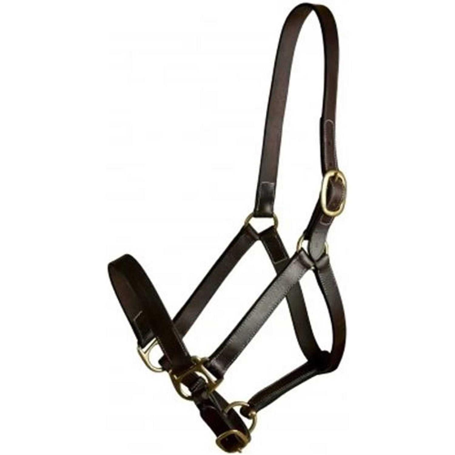 Gatsby Leather Halter Snap - Image 3
