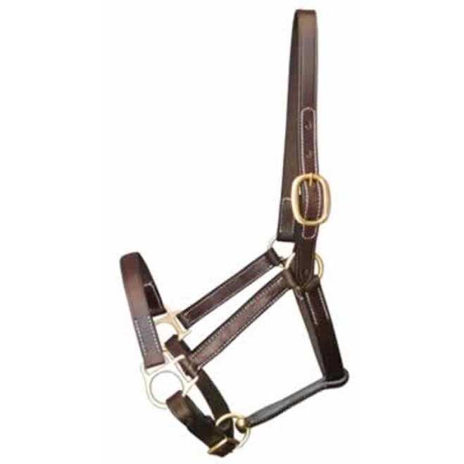 Gatsby Leather Halter Snap - Image 5