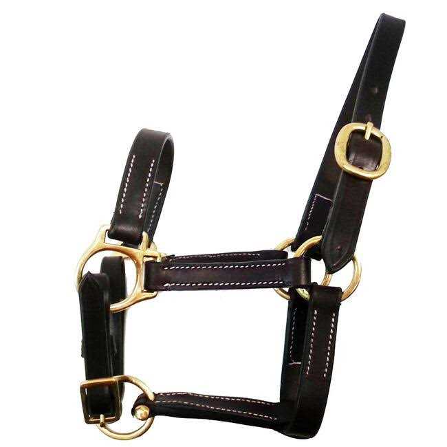 Gatsby Leather Halter Snap - Image 4